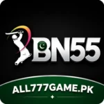 bn55 game