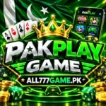 PAKPLAY GAME