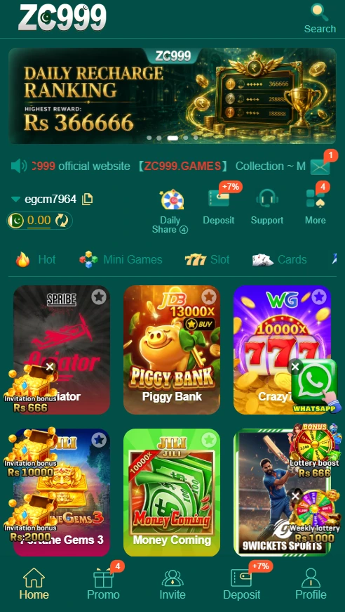 zc999 game