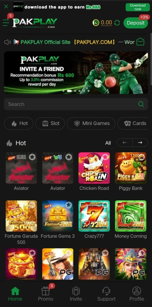 pakplay Game